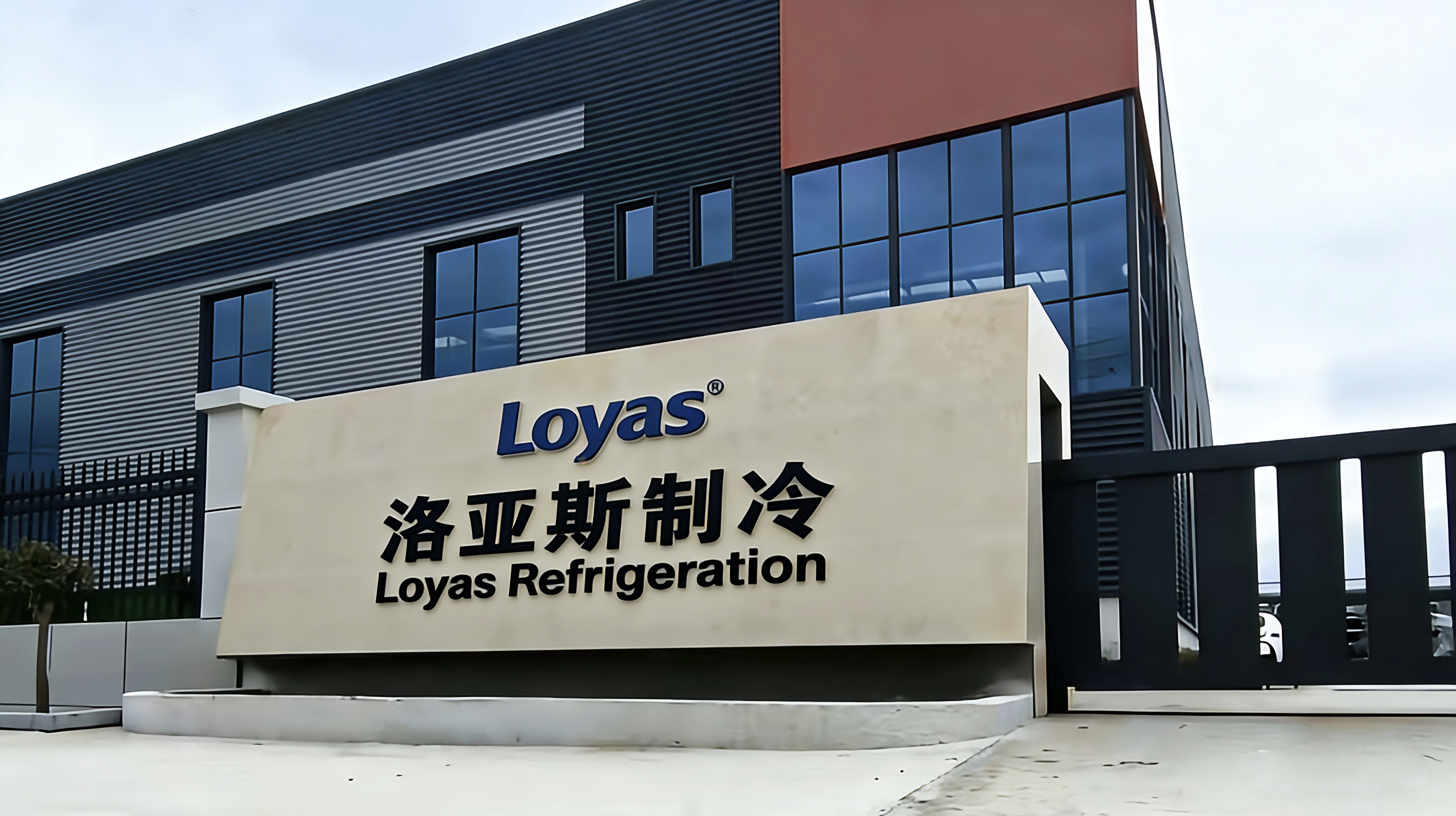 洛亚斯品牌风采